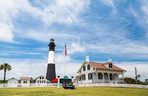 Savannah to Tybee Island with Dolphin Cruise