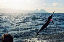 St Lucia Sport Fishing Tour