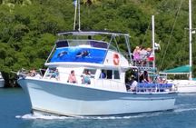 Whale and Dolphin Watching Cruise in St Lucia