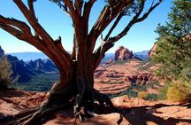 PRIVATE Sedona Jeep Tour 4X4 Climb - Colorado Plateau