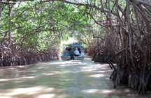Private Tour: Celestun Biosphere Reserve by Yucatan Concierge