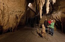 Waitomo Glowworm Caves Guided Tour