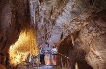 90-Minute Guided Ruakuri Cave Tour Waitomo