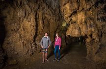 1-Hour Guided Tour of Aranui Cave Waitomo