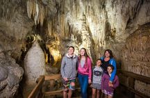 1-Hour Guided Tour of Aranui Cave Waitomo