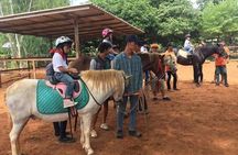 Khao Yai Winery - Vineyard Tours & Animal Lover with Horse Farm 
