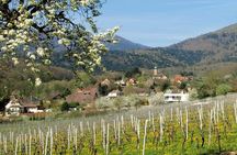 Alsace 4 Wonders Small-Group Day Trip from Colmar
