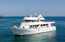 Sea Star Coral Express Cruise from Paphos