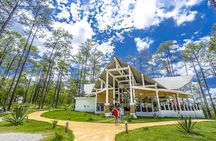 Kirirom National Park Private Day Tour from Phnom Penh