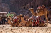 Private Tour from Amman: Petra with Camel Ride