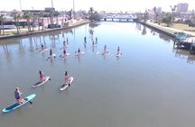 Dolphin and Manatee Paddleboard Tour