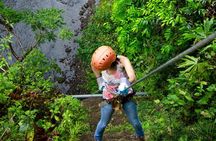 Arenal Volcano Canopy Tour, 50 meters Rappeling and Hot Springs