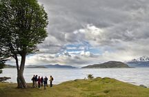 Half-Day Tierra del Fuego National Park with Lunch and Drinks