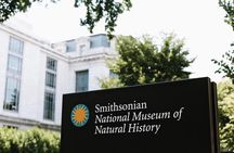 Smithsonian Museum of Natural History - Exclusive Guided Tour 
