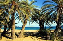 Palm forest of Vai - Monastery Toplu - North Coast Adventure Tour