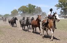 Gaucho Experience: A Day Trip to Don Silvano Ranch