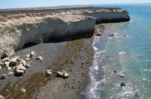 4-Day Tour to Puerto Madryn by Air from Buenos Aires