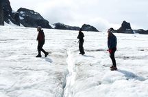 Albino's Eye Glacier Full-Day Trekking Tour from Ushuaia