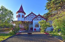Patagonia Ranch and El Pedral Penguin Colony Tour from Puerto Madryn