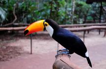 Iguazu Falls Brazilian Side & Bird Park from Puerto Iguazu 