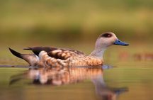 Full-Day Tour to Laguna de los Pozuelos from Tilcara