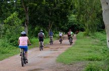Half Day Cycling Tour to the White temple