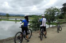 Half Day Cycling Tour to the White temple