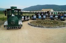 Konavle Valley Wine Tour from Dubrovnik with Train Ride and Wine Tasting