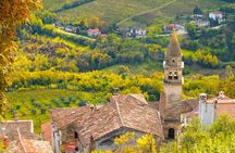 Half day trip to Motovun with Local Brandies Tasting