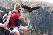 Mendoza Trekking Tour in Cordón del Plata with Argentine Lunch