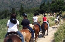 Uco Valley Horseback Riding Tour with Traditional Argentine Lunch