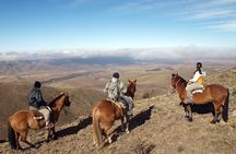 Uco Valley Horseback Riding Tour with Traditional Argentine Lunch