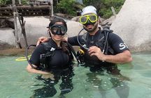 PADI Discover Scuba Diving in Koh Tao - half day and two dives