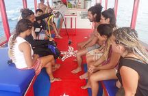 PADI Discover Scuba Diving in Koh Tao - half day and two dives