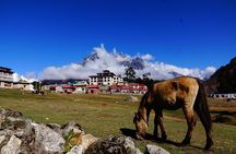 Everest Base Camp Trek
