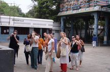 Private Peacock Trail Walking Tour in Mylapore