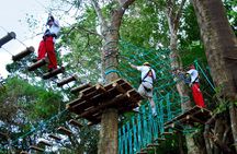Adventure Park High Ropes Course 