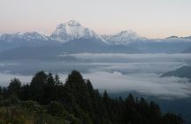 Ghorepani(Poonhill Trek)