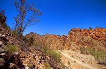 Lake Eyre and Flinders Ranges 4-Day Small Group 4WD Eco Tour