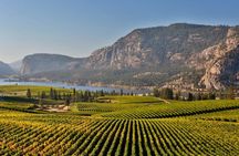 East Kelowna Wine Tour - Classic - 4 Wineries