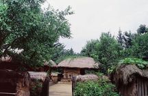 Korean Heritage Tour: Palaces and Villages of Seoul Including Gyeongbokgung Palace