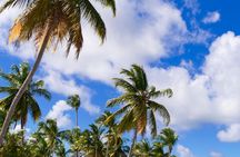 St Maarten Shore Excursion: Orient and Maho Beach Half-Day Tour