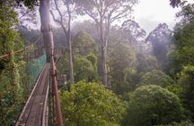 2-Night Danum Valley Borneo Rainforest Lodge Hiking and Wildlife Adventure