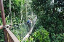 4-Day Jungle Experience in Taman Negara from Kuala Lumpur