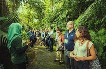 Panoramic Penang Hill & The Habitat Nature Discovery