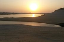 Day tour to Fayoum oasis from Cairo or Giza