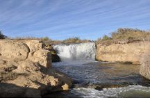 Day tour to Fayoum oasis from Cairo or Giza