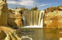 Over Day tour to Fayoum Oasis and Wadi El Hitan from Cairo or Giza