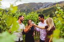 Award Winning Premium Wine Tour Queenstown Tasting at 4 Wineries