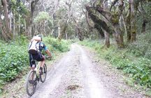 1 day Kilimanjaro Cycle Shira Route